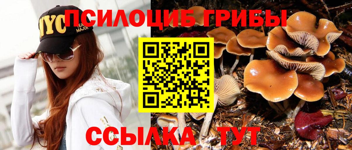 Псилоцибиновые грибы MAGIC MUSHROOMS Чебаркуль