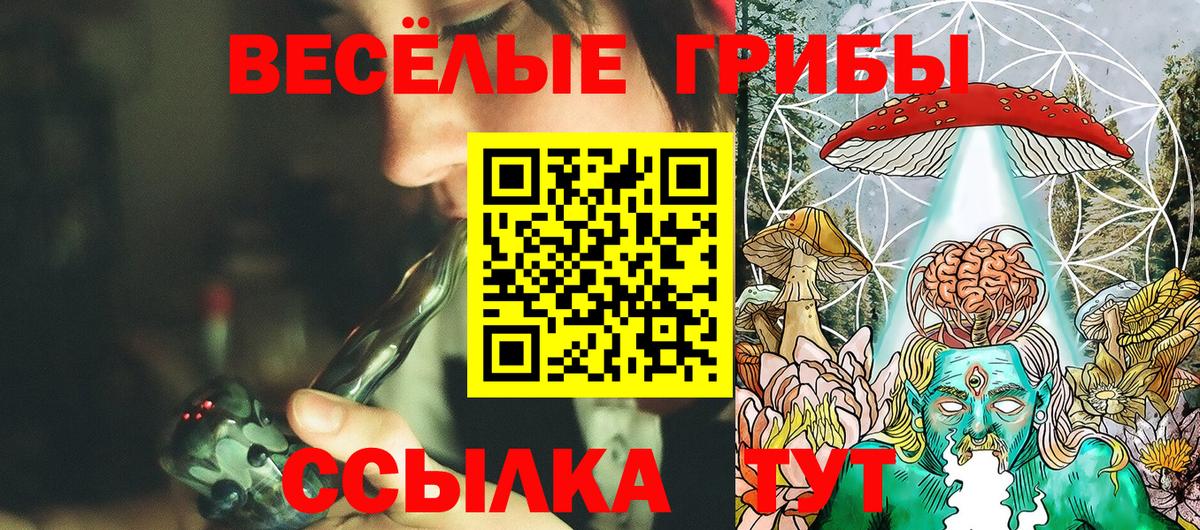 Чебаркуль  Псилоцибиновые грибы Psilocybine cubensis  Вход с VPN 
